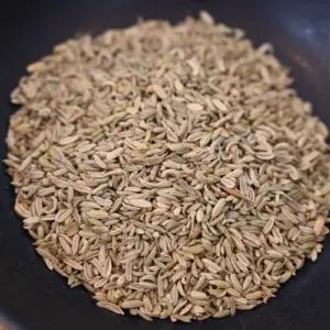 Kräutertee Fenchel (k.b.A.)